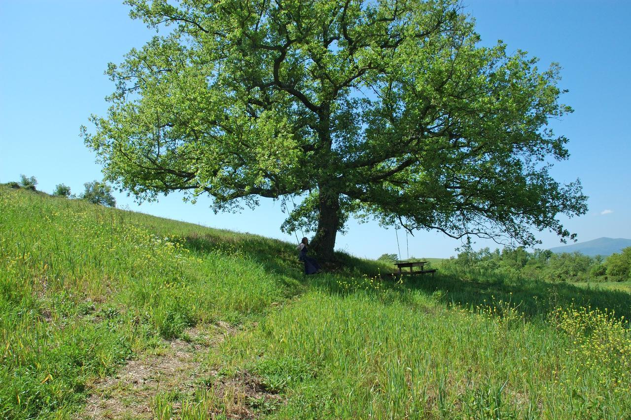 Podere Santa Maria Monte Antico Εξωτερικό φωτογραφία